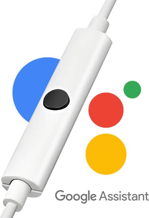 Image du produit Google bourgeons de pixels (Filaire)