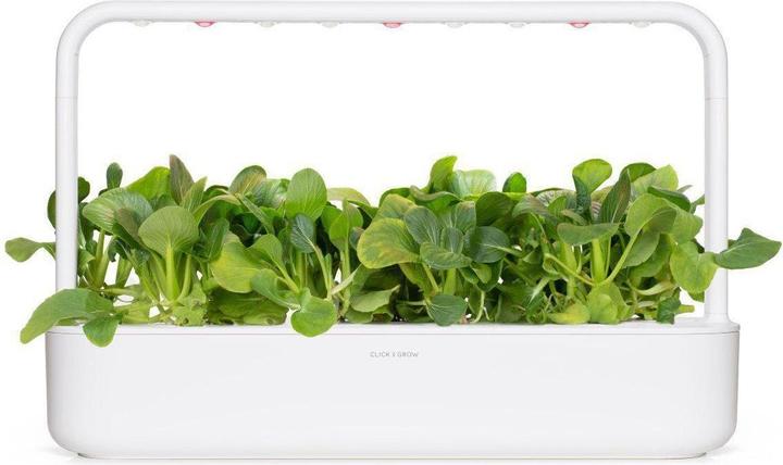 Actual product image Click and Grow Seeds Pak Choi (Vegetable seeds)