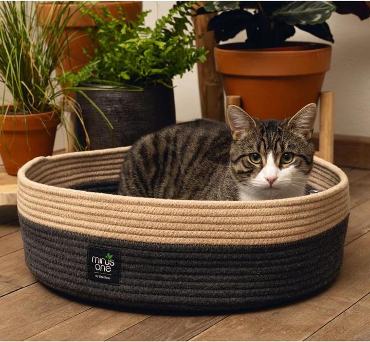 Actual product image Beeztees Xana (Cat)