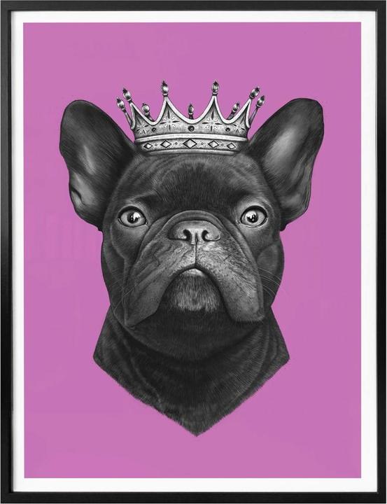 Actual product image Trenddeko King French Bulldog pink (50 x 60 cm)