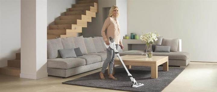 Image du produit Rowenta Air Force 360