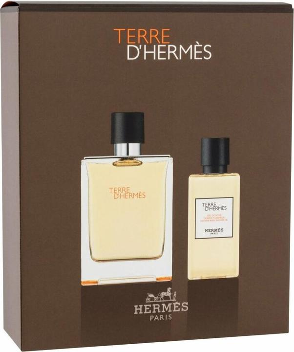 Produktbild Hermès Terre D' (Eau de Toilette, 100 ml)