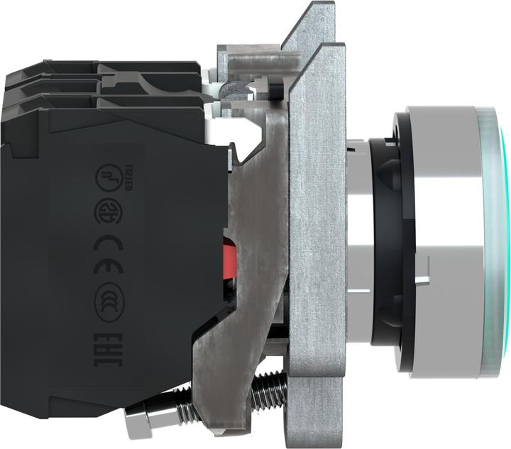 Immagine prodotto Schneider Electric Pulsante XB4BW33G5