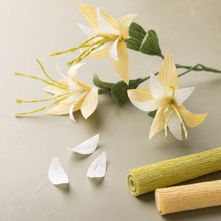 Image du produit Creativ Company Papier crêpé (105 g/m², 8 x)
