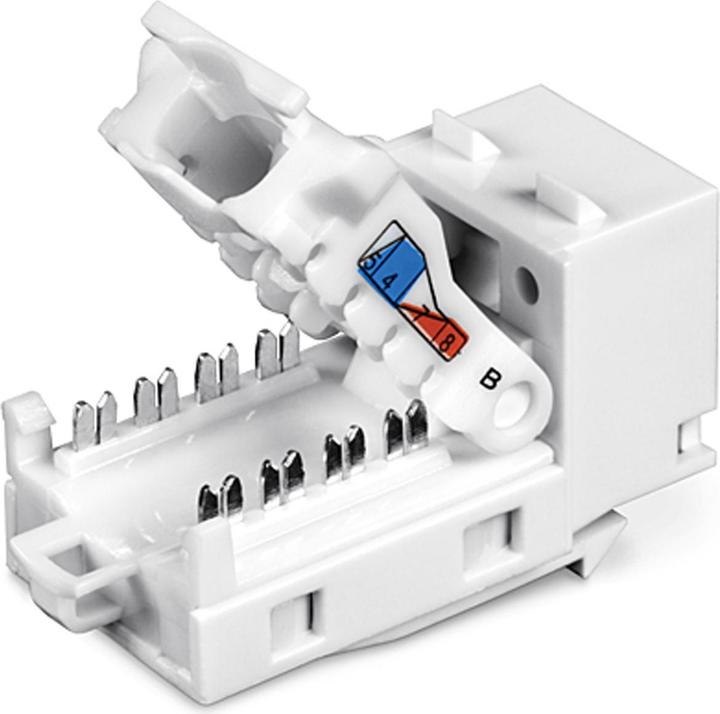 Actual product image Trendnet TC-K50C6 Modular input (pack of 50) (Cable Accessories)