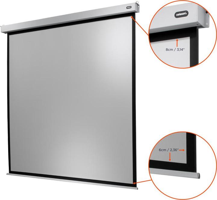 Actual product image Celexon Motor Professional Plus (167", 1:1)