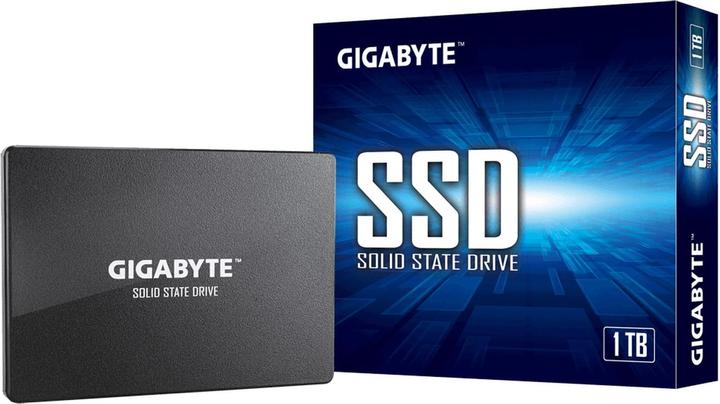 Actual product image Gigabyte GP-GSTFS31100TNTD (1000 GB, 2.5")