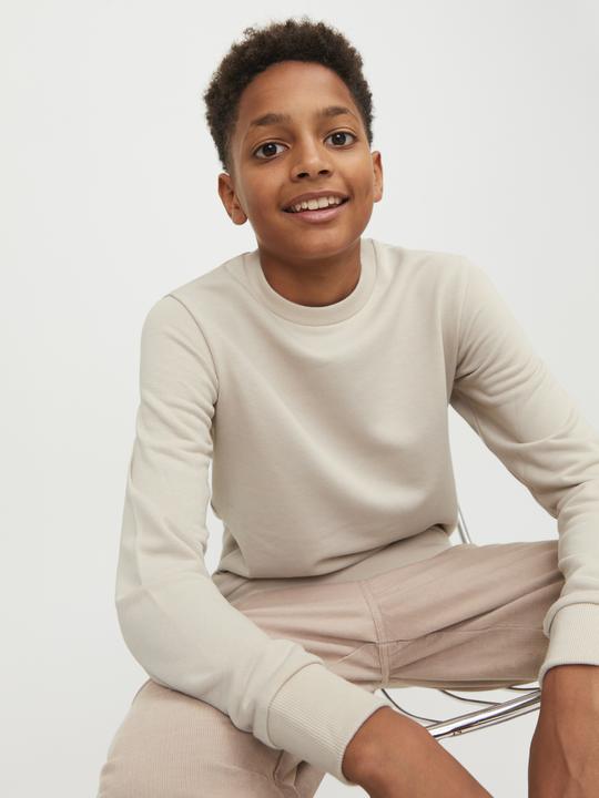 Actual product image Jack & Jones Boys Sweatshirt (164)