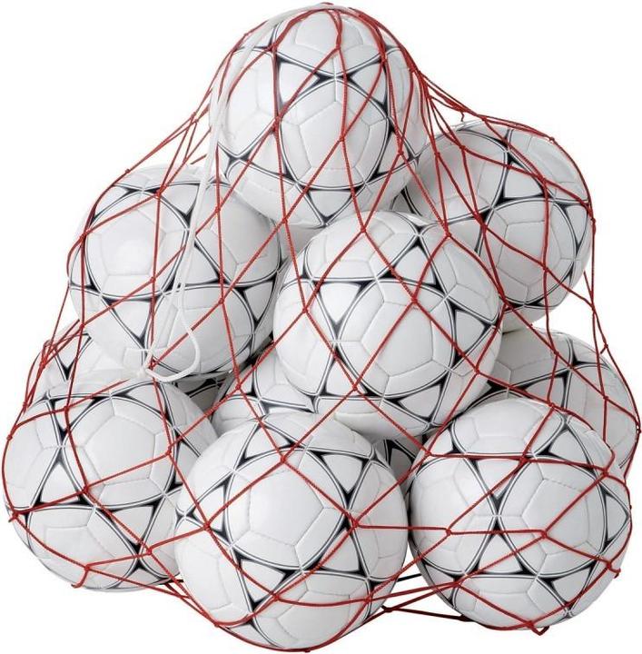 Actual product image Hasbro net for 20 balls tremblay