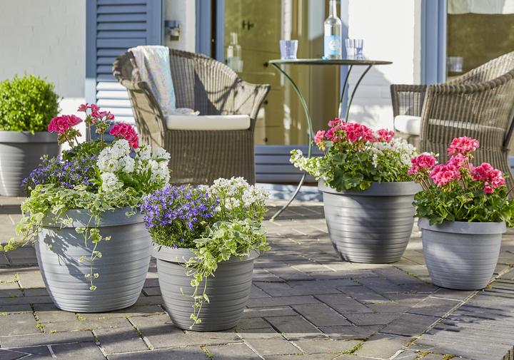 Immagine prodotto Scheurich Country Star (33.90 cm)