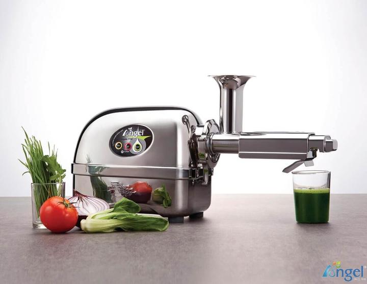 Immagine prodotto Angel Juicers Angelo 5500
