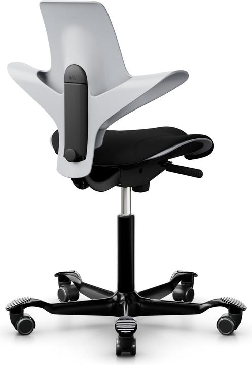 Actual product image HAG Capisco Puls