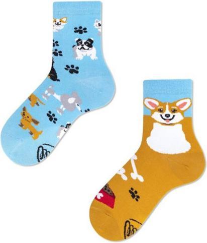 Produktbild Many Mornings Playful Dog (Einzelpack, 31 - 34)