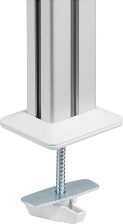Image du produit InLine Support de table pour 2 écrans LCD (Tables, 32.01")