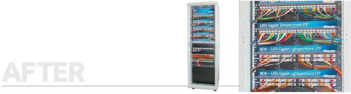 Image du produit Wirewin Câble de réseau (U/UTP, CAT6, 0.50 m)