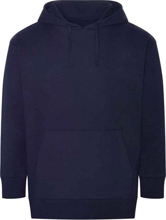 Awdis Erwachsene Krater Recycled Hoodie