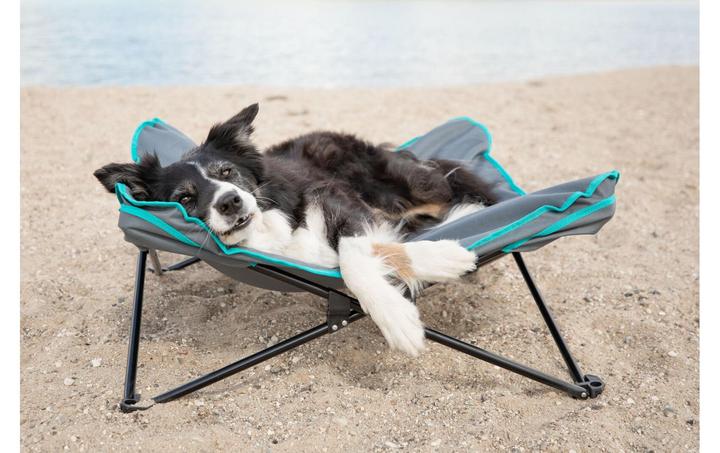 Image du produit Trixie Lit de camping, jusqu'à 35 kg, 88 x 32 cm, gris foncé/pétrole (Chien)