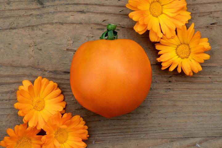 Produktbild Zollinger Bio Tomate, Froschkönigs Goldkugel (Gemüsesamen)