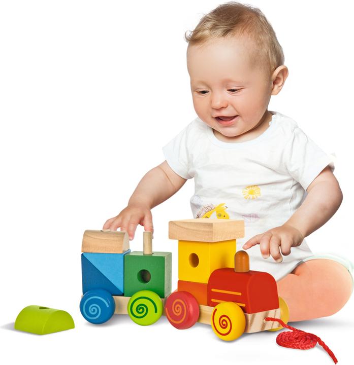 Actual product image Eichhorn Train