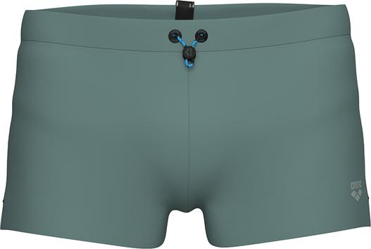 Arena M Evo Swim Short