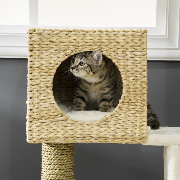 Image du produit PawHut Arbre à chat avec niche pour chat (100.50 cm, Blanc + Nature)