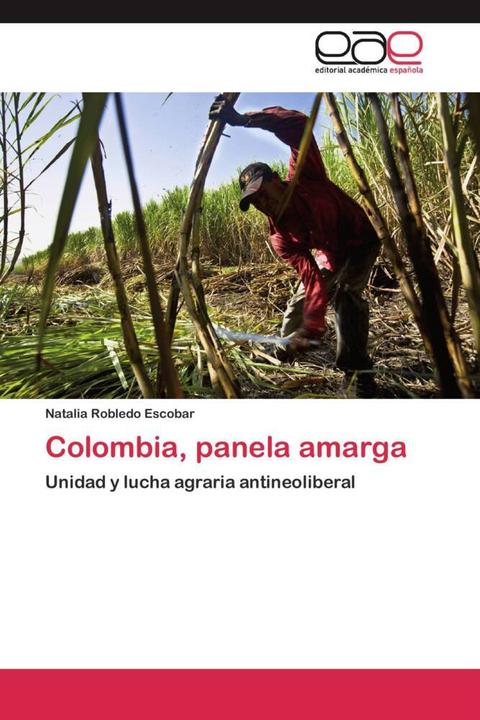 Actual product image Colombia, panela amarga (Natalia Robledo Escobar, 2012)