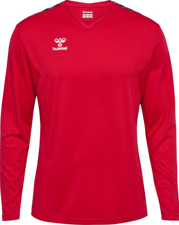 Image du produit hummel Hmlauthentic Pl Jersey L/S (M)