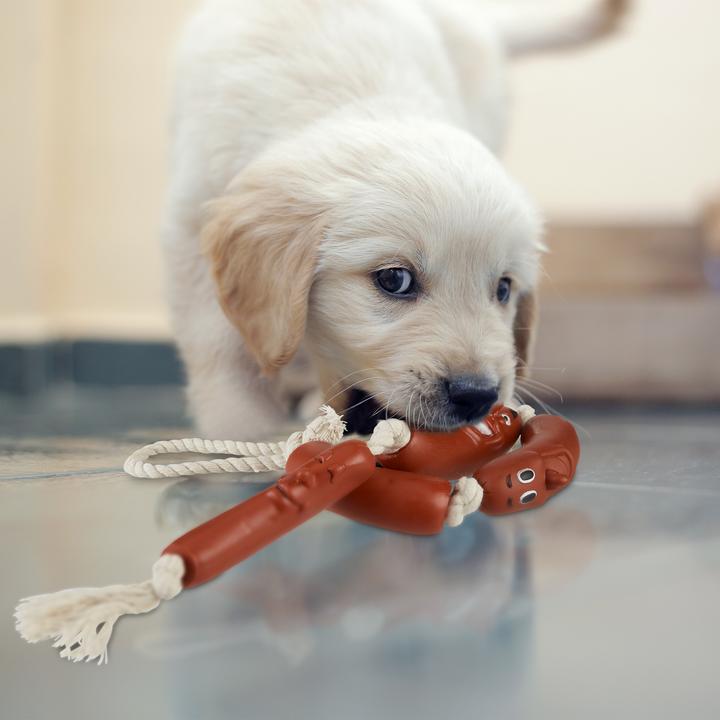Actual product image Relaxdays Sausage Rope Chew Toy for Dogs (Tug toy dog)