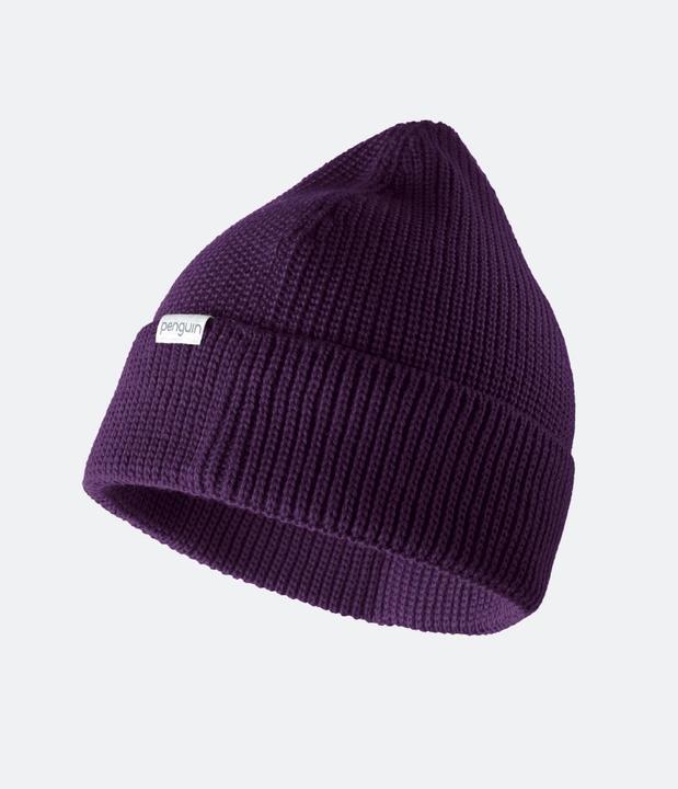 Image du produit Penguin Bonnet tricoté (Taille unique)