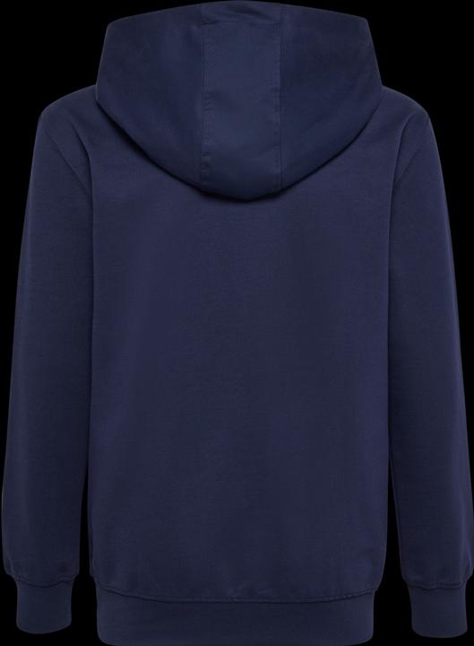 Actual product image hummel HMLGO 2.0 HOODIE KIDS (164)