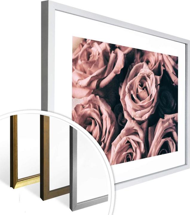 Immagine prodotto Trenddeko Rose rosa in stile vintage (60 x 50 cm)