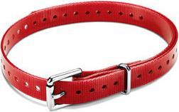 Actual product image Garmin Square Buckle Collar Strap (3, 4, Dog, General)