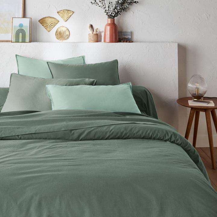 Eucalyptus vert