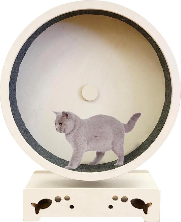 Produktbild Swisspet Katzenrad Rondulo 75 mit Stand