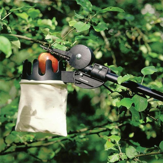 Immagine prodotto Fiskars Raccoglitore di frutta