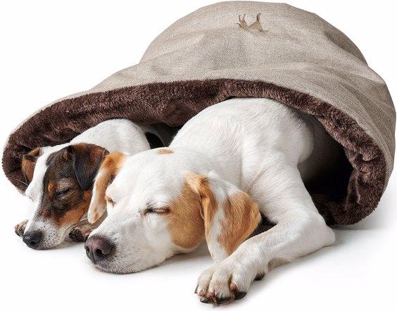 Immagine prodotto Hunter Traversina per cani e gatti Livingston (Cane)