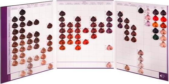 Produktbild Basler Color 2002+ Farbkarte