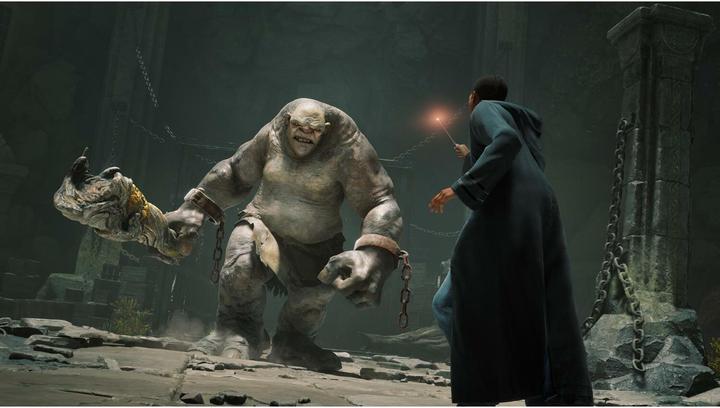 Produktbild WB Hogwarts Legacy (PS4, DE, FR)