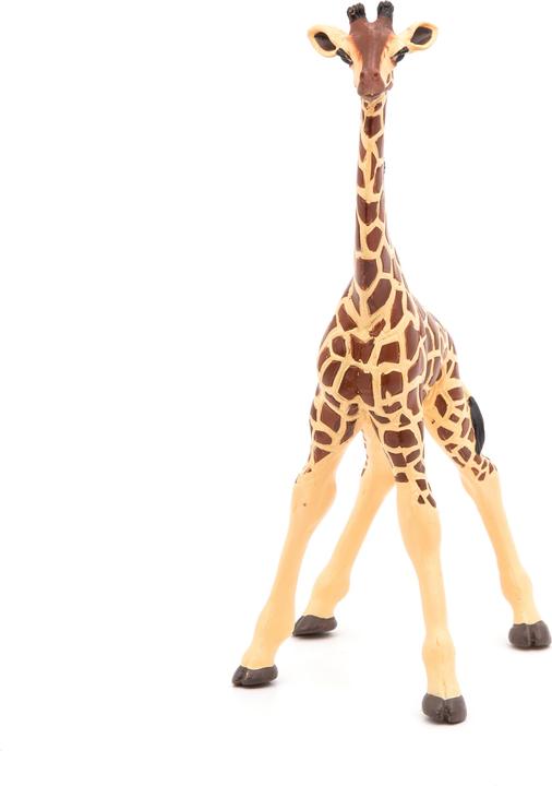 Actual product image Papo Giraffe cub