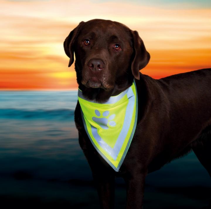 Immagine prodotto Trixie Fazzoletto da naso Safer Life (S, M, Bandana per cani)
