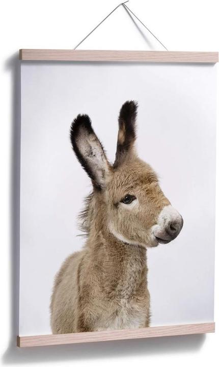 Produktbild Trenddeko Sisi & Seb - Baby Esel (50 x 60 cm)