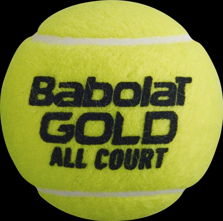Actual product image Babolat All Court X4