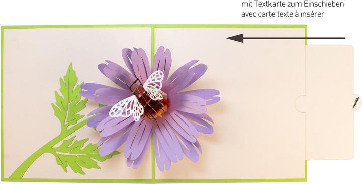 Image du produit Hervorragend Carte de voeux Abeille sur fleur - 3D Pop-up (1 pcs)