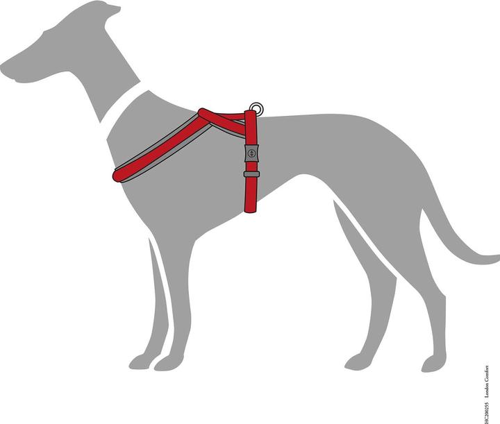 Immagine prodotto Hunter Imbracatura London Comfort, M, Rosso, Taglia del cane: M (M, Cane, Generale)