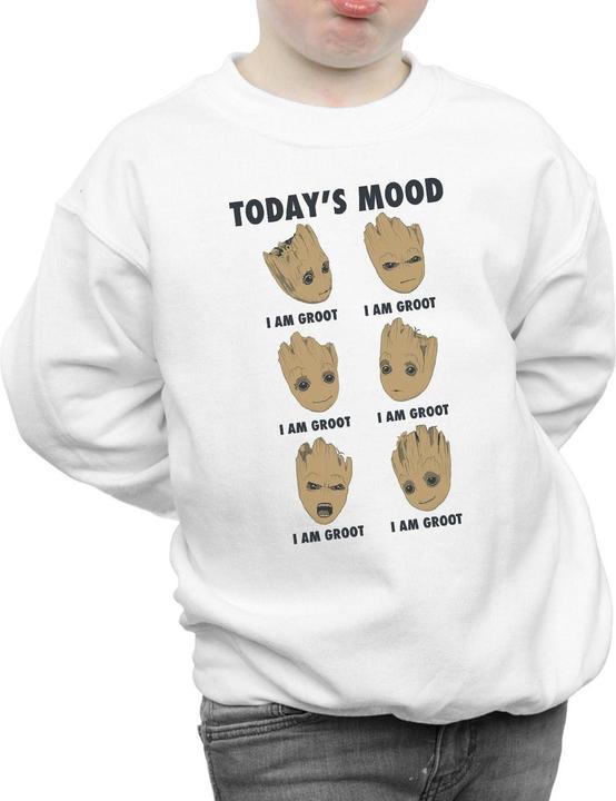 Produktbild Guardians Of The Galaxy Groot Today's Mood Sweatshirt Jungen (152, 158)