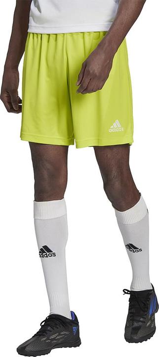 Actual product image adidas Entrada 22 Football Shorts Men (XS)