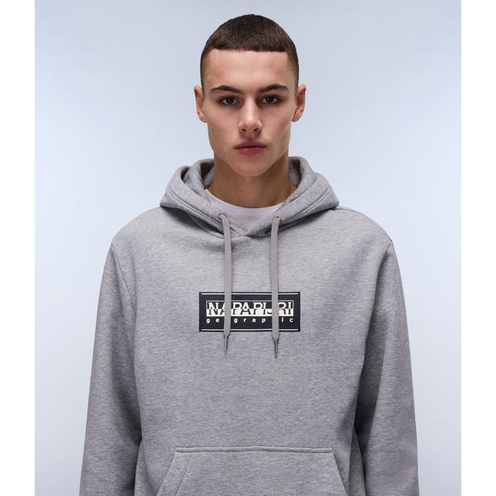 Actual product image Napapijri hooded sweatshirt b-box (L)