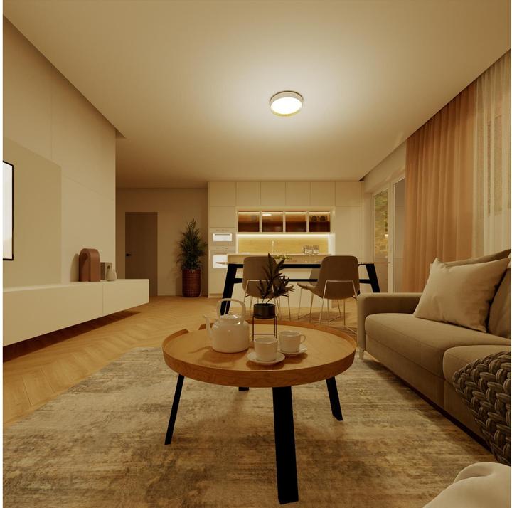 Actual product image Philips Hanno (2700 lm)
