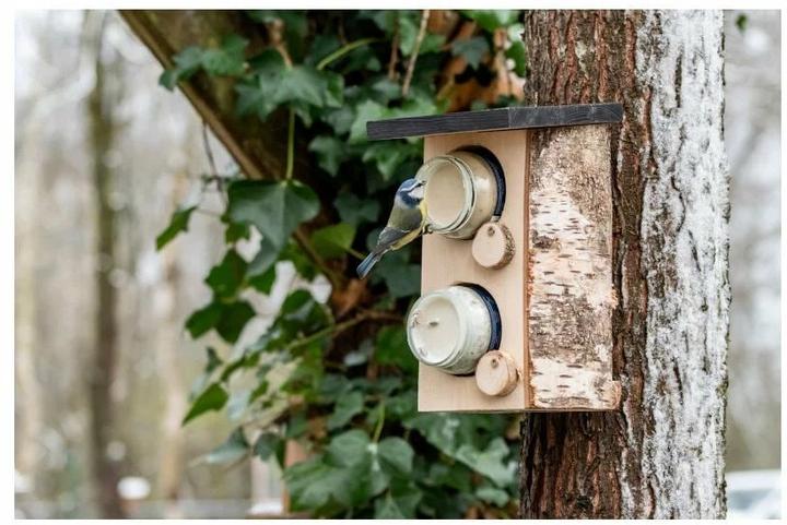 Actual product image CJ Wildlife Food Dispenser Peanut Butter Holder Quebec