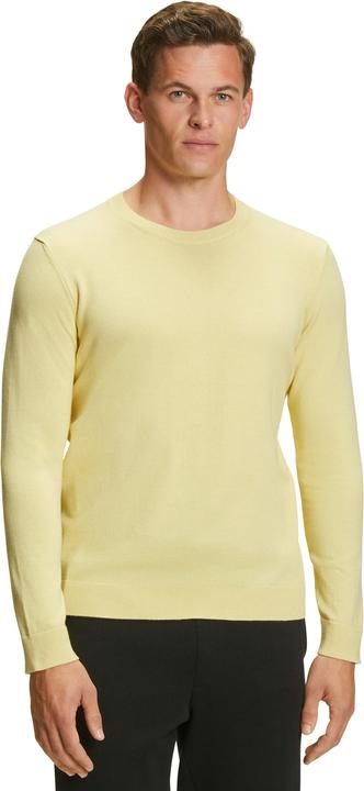 Falke Pulls pour hommes (M)